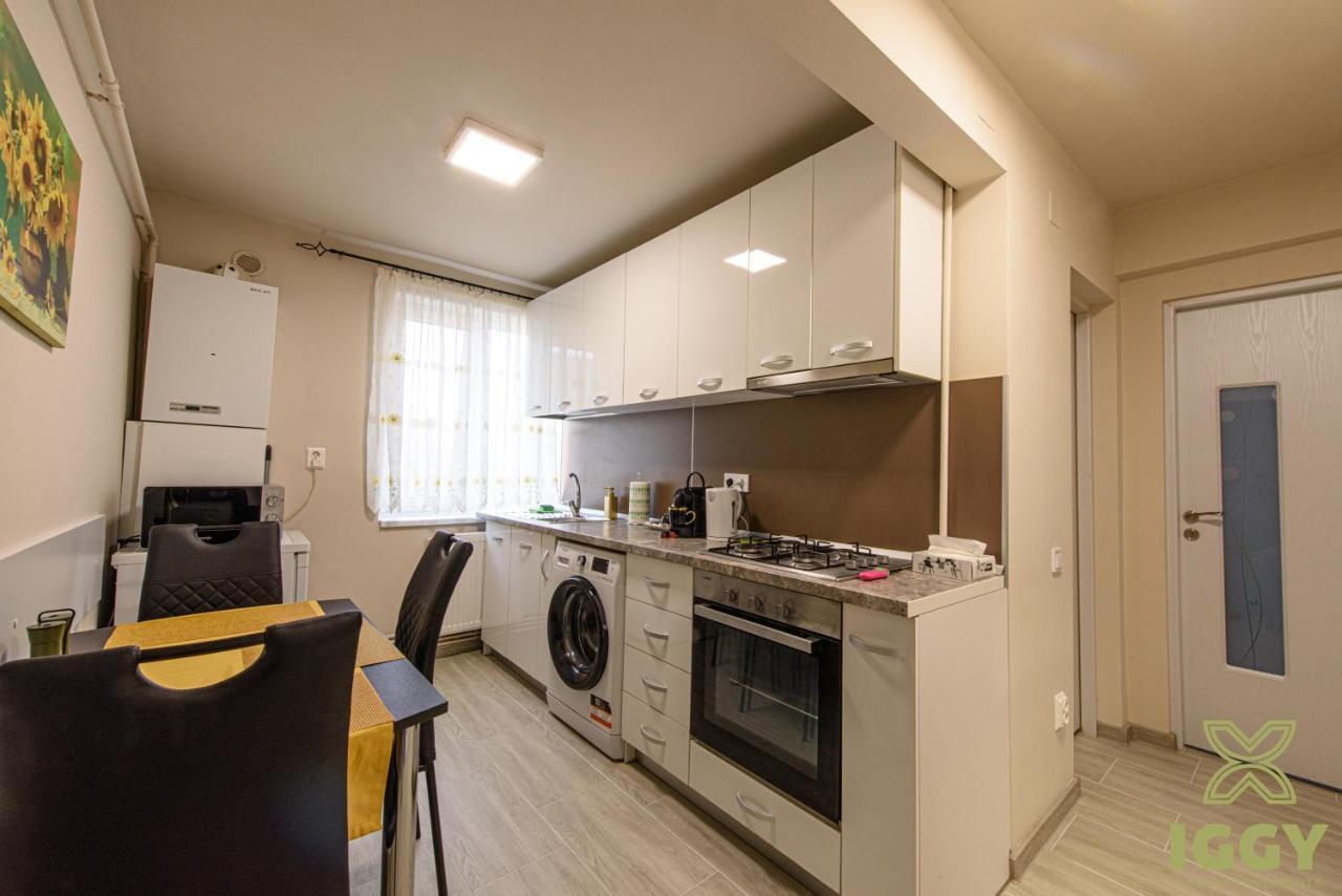 Iggy Luxury Apartment Hunedoara Exterior photo